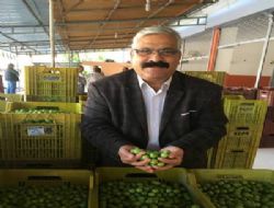 Erik üreticisi fiyatlardan menun